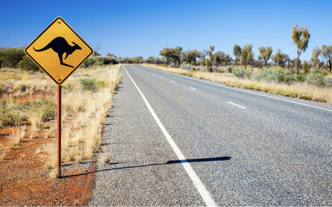 NZ roads vs Australia: Why better highways could boost tourism